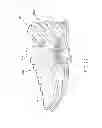Fig. 22 - Shoe having an inflatable bladder
