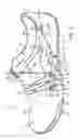 Fig. 03 - Article of footwear with interconnected tensile strands