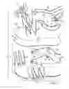 Fig. 06 - Article of footwear with interconnected tensile strands