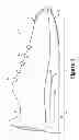 Fig. 02 - Article of footwear having a sole structure with perimeter and central chambers
