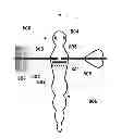Fig. 01 - FISHING LURE