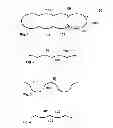 Fig. 02 - FISHING LURE