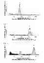 Fig. 02 - METHOD FOR PRODUCING POLYPLOIDS OF PARA RUBBER TREE