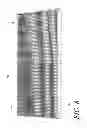 Fig. 09 - Filtration system for use in aquariums