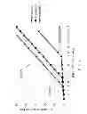Fig. 07 - Drill bit with continuously sharp edge cutting elements