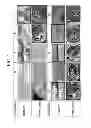 Fig. 02 - Composition having enhanced corrosion resistance and pH buffering property for antifreeze liquid or coolant