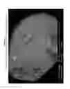 Fig. 03 - Homogeneous enriched biosolids product and process of bio-nutrient granulation for making same