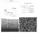 Fig. 01 - Gas sensors and methods of preparation thereof
