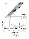 Fig. 20 - Gas sensors and methods of preparation thereof