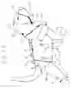 Fig. 02 - Post surgical treatment for quadrupeds
