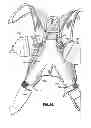 Fig. 09 - Energy absorber assembly and components thereof