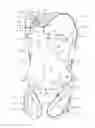 Fig. 01 - Increased Recovery Range Controlled Descent System without Optional Friction Tape