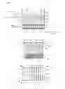 Fig. 02 - SEAWATER INFILTRATION METHOD AND WATER INFILTRATION INTAKE UNIT