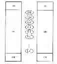 Fig. 01 - Scintillating organic materials and methods for detecting neutron and gamma radiation