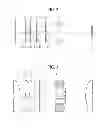 Fig. 03 - Ultra-miniaturized electron optical microcolumn