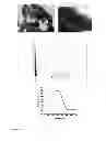 Fig. 03 - Hybrid materials and nanocomposite materials, methods of making same, and uses thereof