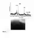 Fig. 07 - Hybrid materials and nanocomposite materials, methods of making same, and uses thereof
