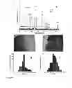 Fig. 22 - Hybrid materials and nanocomposite materials, methods of making same, and uses thereof