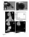 Fig. 40 - Hybrid materials and nanocomposite materials, methods of making same, and uses thereof