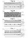 Fig. 06 - Resistance-switching memory cell with multiple raised structures in a bottom electrode