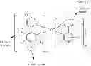 Fig. 11 - Organometallic complex and organic light-emitting diode including the same