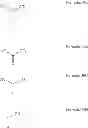 Fig. 09 - ORGANIC LIGHT-EMITTING DIODE