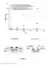 Fig. 06 - DIRECT DETECTORS FOR IONIZING RADIATIONS, AND METHODS FOR PRODUCING SUCH DETECTORS