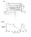 Fig. 02 - Light emitting device and fabricating method thereof