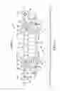 Fig. 05 - Multiple axle equalizing rubber suspension (ERT)