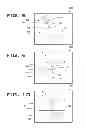 Fig. 08 - Operator assistance system