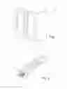 Fig. 02 - Photo booth with graphic code indentification, procedure for securely sending and accessing photographs made by the photo booth, and the photographic product obtained