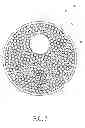 Fig. 08 - ELECTRONIC DEVICE AND METHOD FOR MANUFACTURING THE SAME