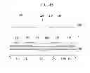 Fig. 07 - Liquid crystal display