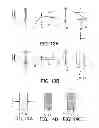 Fig. 09 - Illumination optical system and image projection apparatus