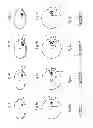Fig. 06 - Device with image guide for timepieces