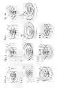 Fig. 12 - Device with image guide for timepieces