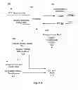 Fig. 04 - Dynamic adjustment of receive window utilized by a transmitting device