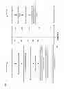 Fig. 05 - Dynamic adjustment of receive window utilized by a transmitting device