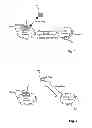 Fig. 02 - Information exchange between gateways for route optimization with network-based mobility management