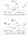 Fig. 08 - ADAPTIVE COMMUNICATIONS NETWORK