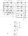 Fig. 05 - Management of a remote digital terminal