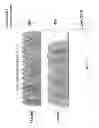 Fig. 05 - MULTI-BEAM CO-CHANNEL WI-FI ACCESS POINT