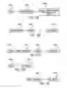 Fig. 16 - Method, System, and Apparatus for Balanced Frequency Up-Conversion of a Baseband Signal
