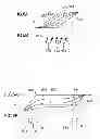 Fig. 06 - Timing recovery circuit and receiver circuit including the same