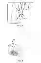 Fig. 07 - Apparatus and method for biometric authentication
