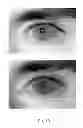 Fig. 10 - System and method for the long range acquisition of iris images from stationary and mobile subjects