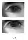 Fig. 11 - System and method for the long range acquisition of iris images from stationary and mobile subjects