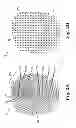 Fig. 03 - Fingerprint imaging and quality characterization