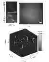 Fig. 09 - Three-dimensional single-molecule fluorescence imaging beyond the diffraction limit using a double-helix point spread function