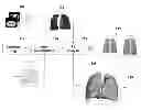 Fig. 01 - Method for simulating thoracic 4DCT